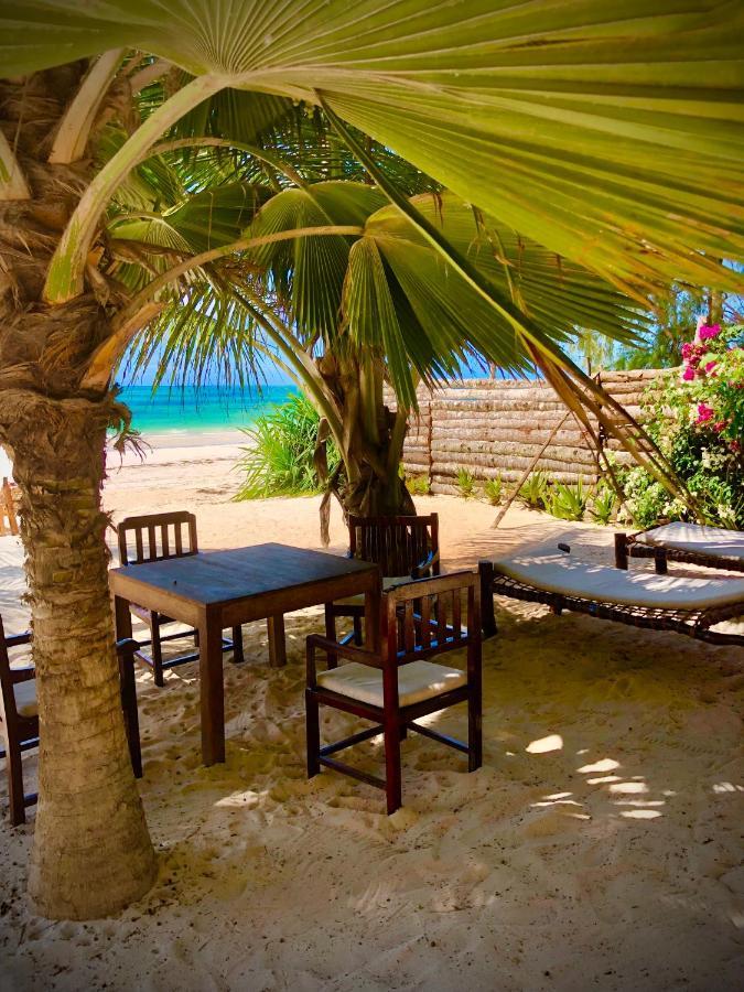 Bed and Breakfast Simba Beach Zanzibar Kiwengwa  Exterior foto