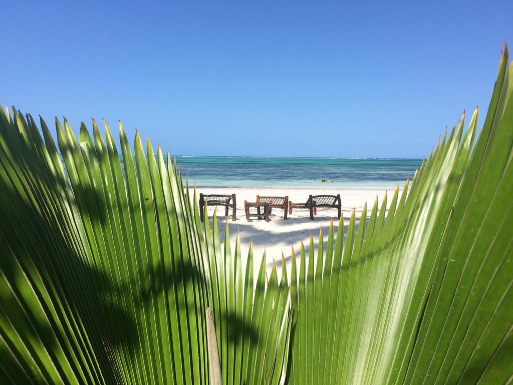 Bed and Breakfast Simba Beach Zanzibar Kiwengwa  Exterior foto