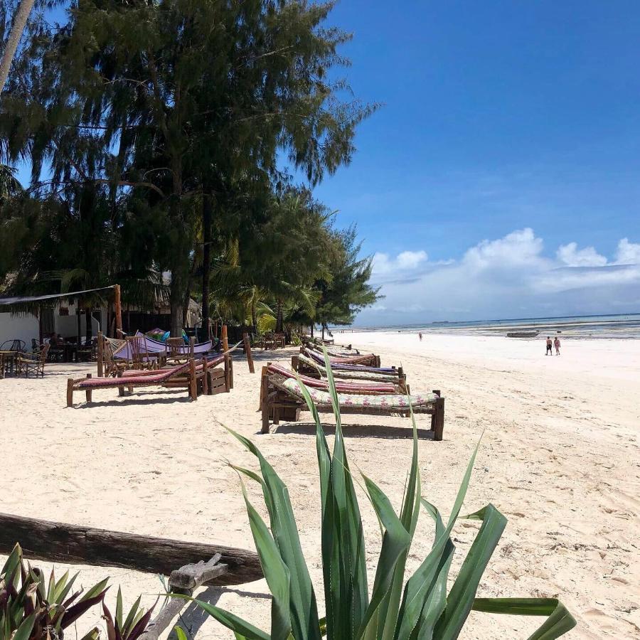 Bed and Breakfast Simba Beach Zanzibar Kiwengwa  Exterior foto