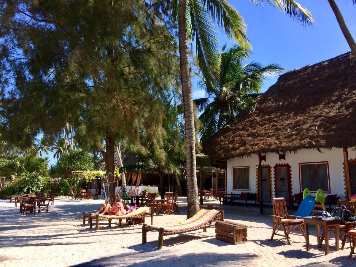 Bed and Breakfast Simba Beach Zanzibar Kiwengwa  Exterior foto